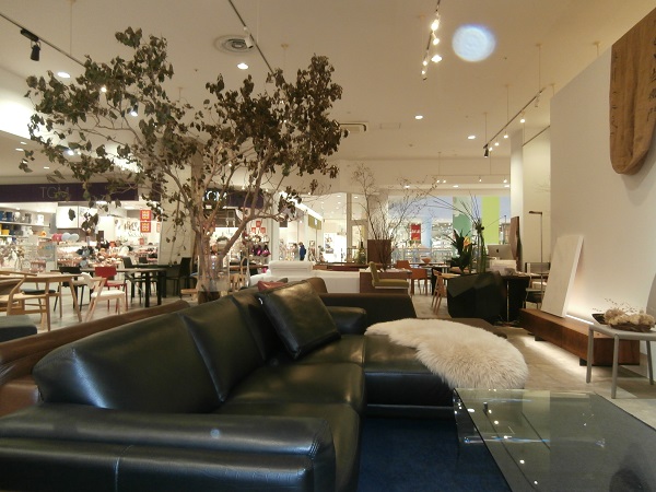 ｼｰﾌﾟｽｷﾝ